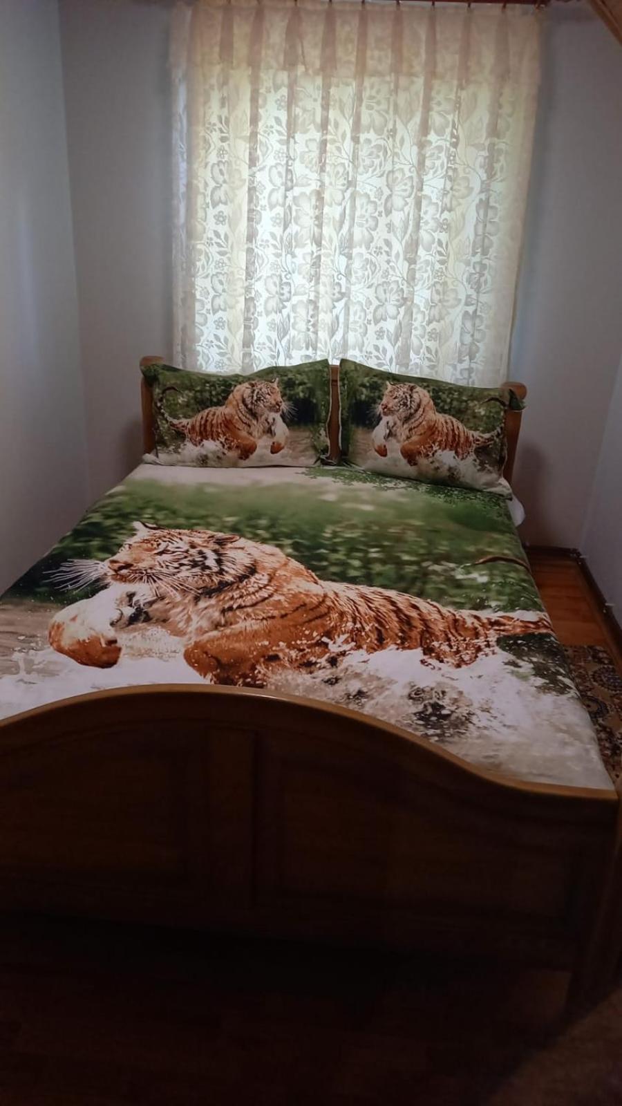 Casa De Vacanta Geoagiu Băi Buitenkant foto